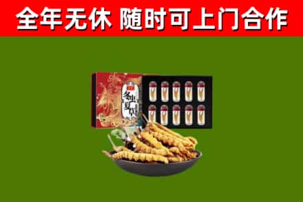 沐川回收冬虫夏草价格